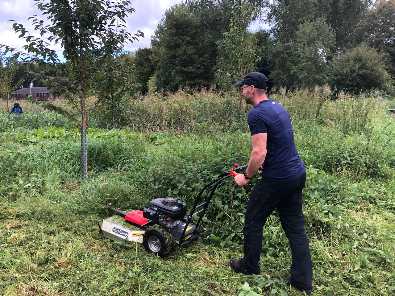 does-4518_winterwereld_13