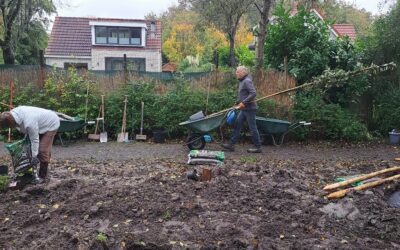 Beplanting Zendmastbos Park Ketelhaven